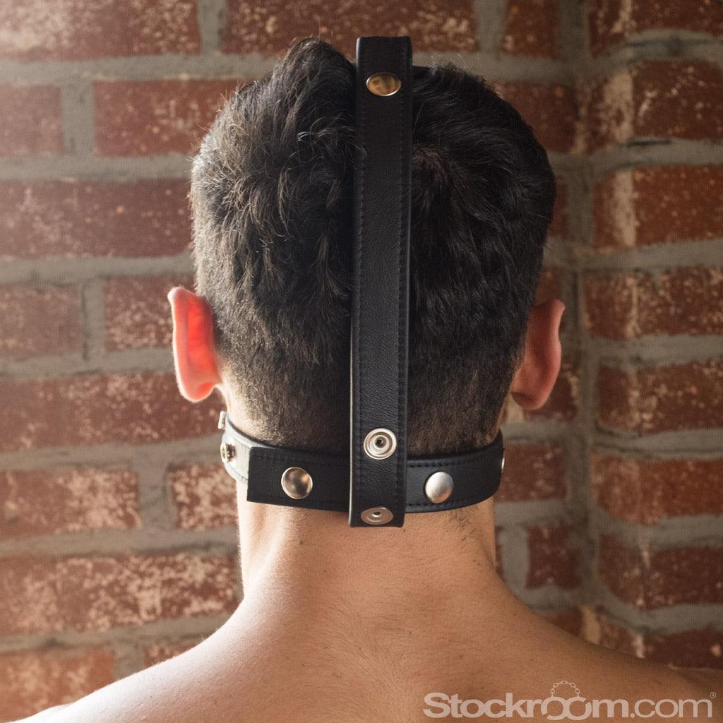 Head-On Harness - Image 4